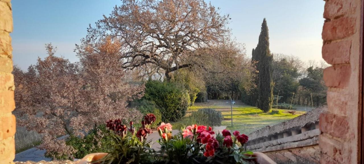 Il Casale Di Sandra Chiusi Dış mekan fotoğraf