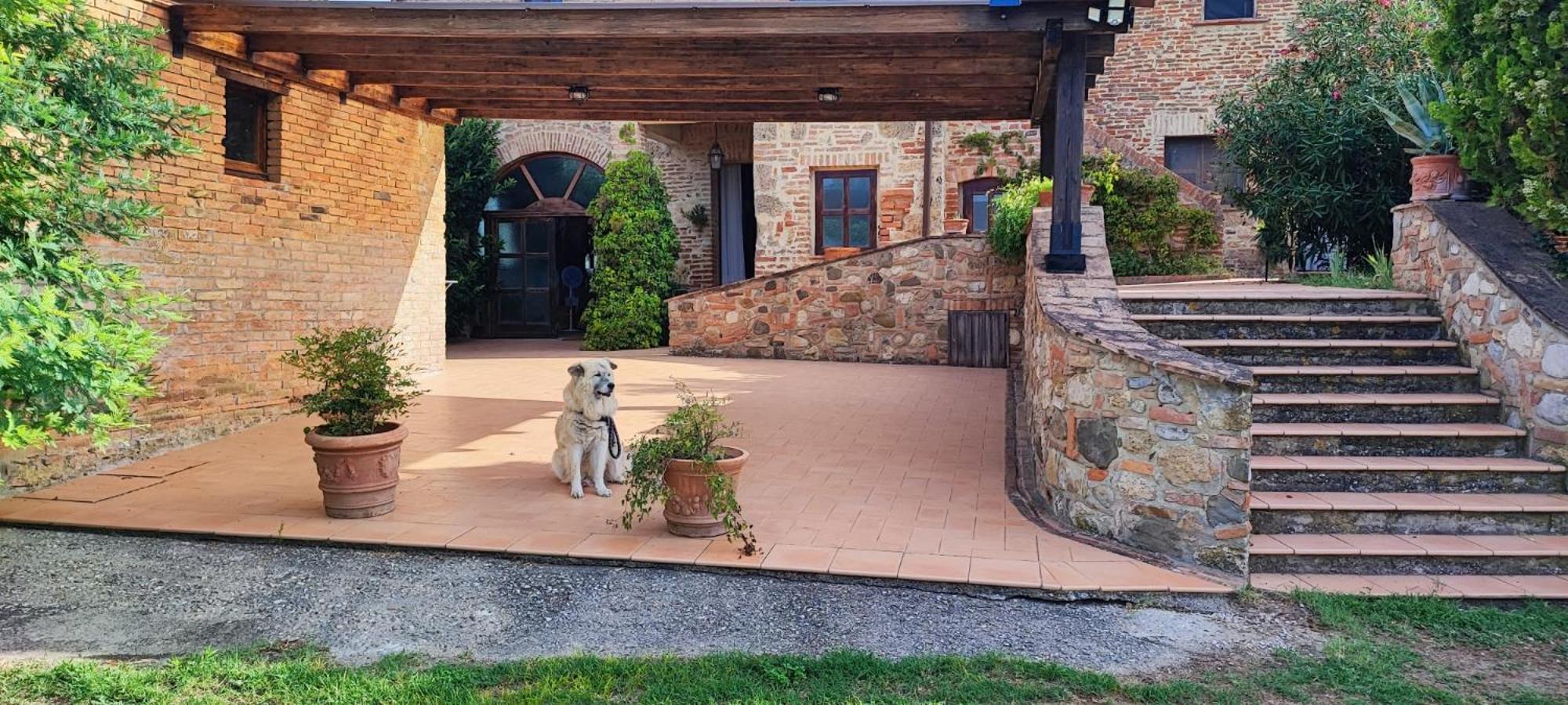Il Casale Di Sandra Chiusi Dış mekan fotoğraf